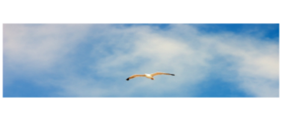 Gratis healing Gratis healing